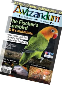 Avizandum – December 2016