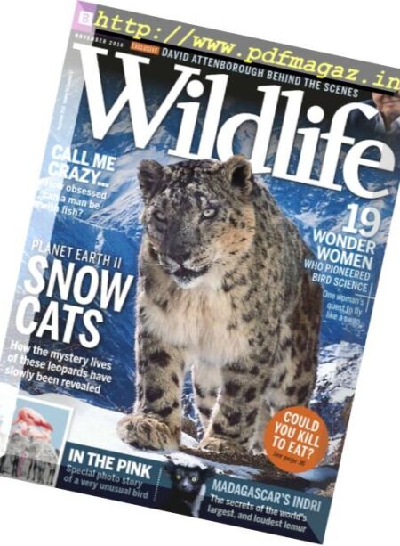 BBC Wildlife – November 2016 Cover