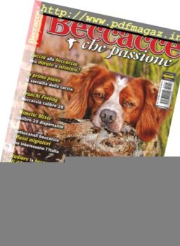 Beccacce Che Passione – Novembre-Dicembre 2016
