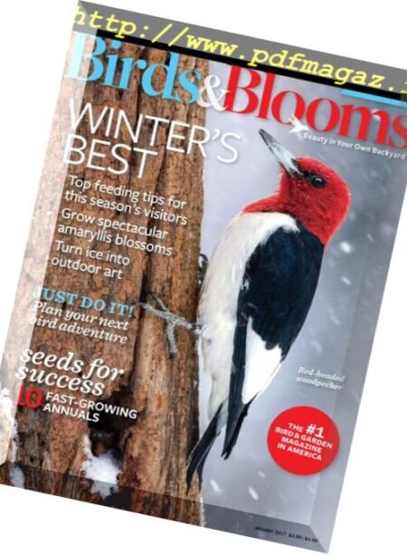 Birds and Blooms Extra – January 2017 Cover