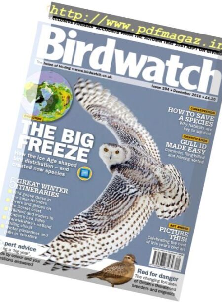 Birdwatch UK – December 2016 Cover