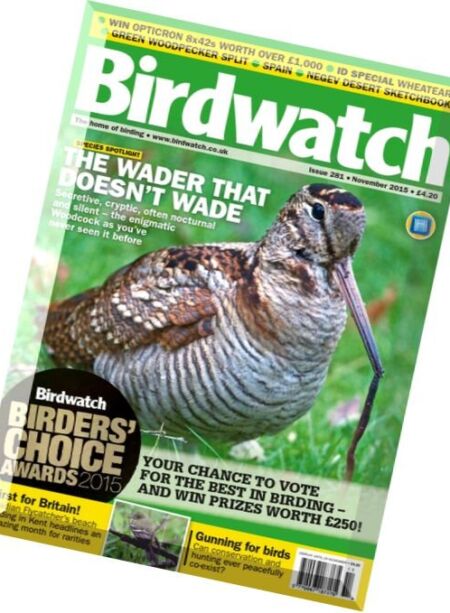Birdwatch – November 2015 Cover