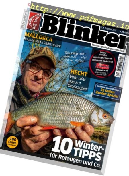 Blinker – Dezember 2016 Cover