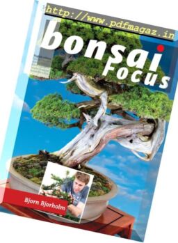 Bonsai Focus – November-December 2016