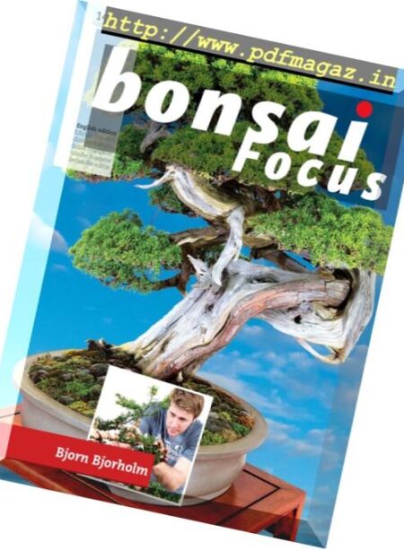 Bonsai Focus – November-December 2016 Cover