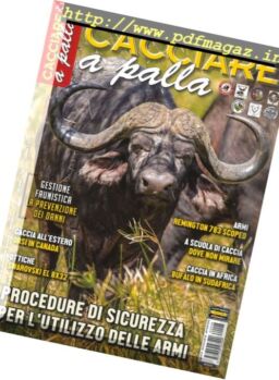 Cacciare a Palla – Agosto 2016