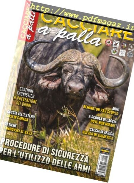 Cacciare a Palla – Agosto 2016 Cover