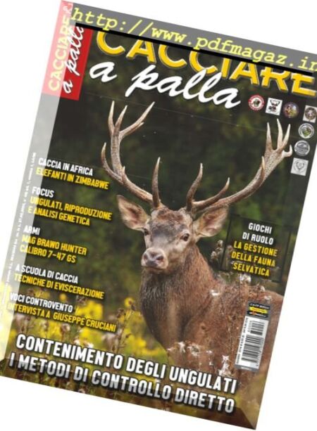 Cacciare a Palla – Giugno 2016 Cover