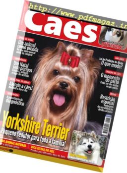 Caes & Companhia – Dezembro 2016