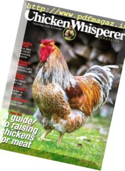 Chicken Whisperer – Summer 2016