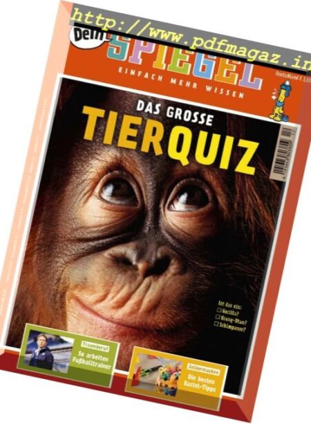 Dein Spiegel – Dezember 2016 Cover