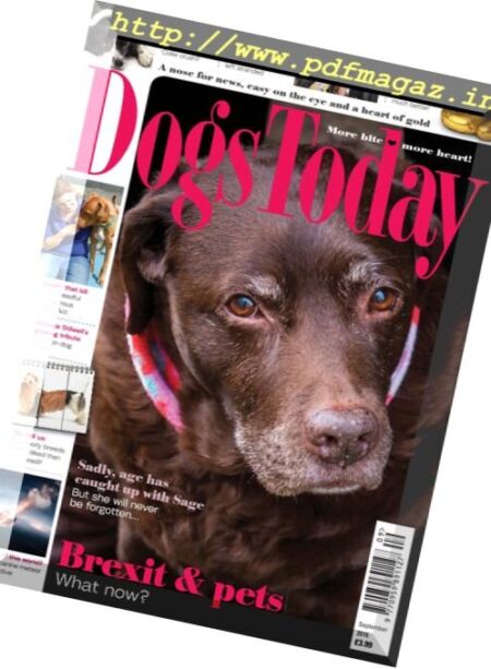 Dogs Today UK – September 2016 Cover