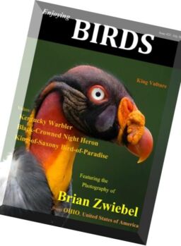 Enjoing Birds – July 2015