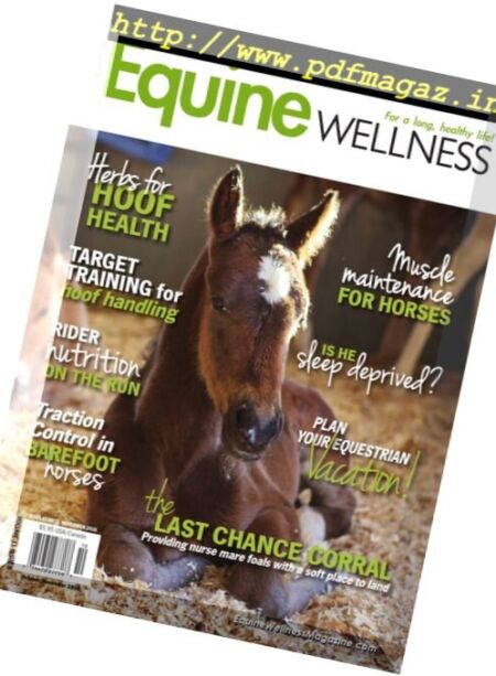 Equine Wellness – October-November 2016 Cover