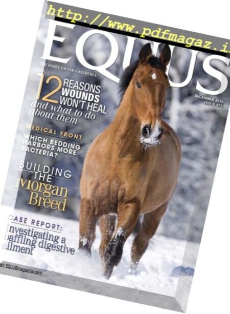 Equus – December 2016 Cover