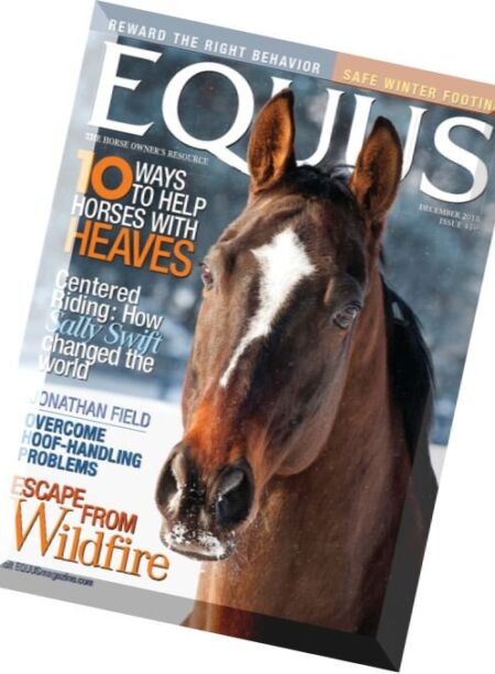 Equus – December 2015 Cover