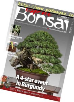 Esprit Bonsai International – December 2016 – January 2017