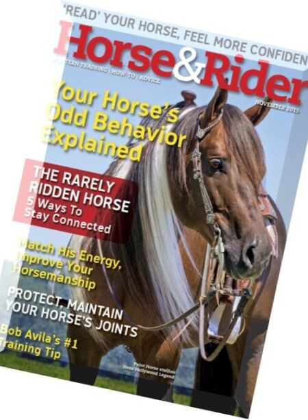 Horse & Rider – November 2015 Cover