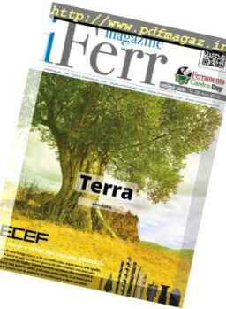 iFerr – N 38, 2016