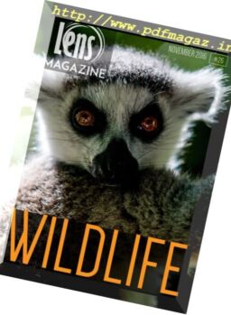 Lens Magazine – November 2016