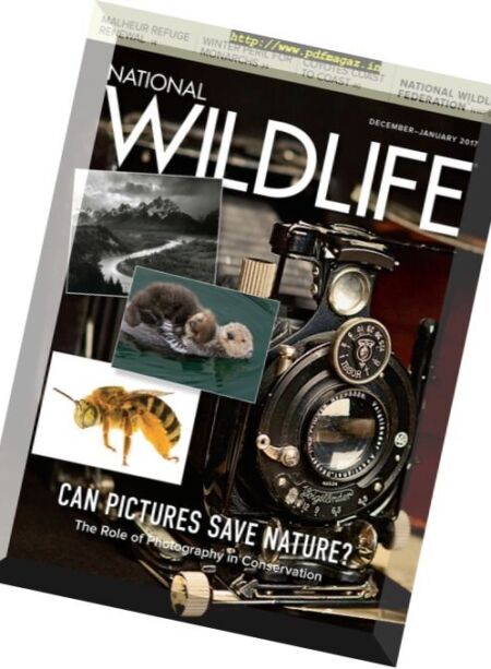 National Wildlife – December 2016 – January 2017 Cover