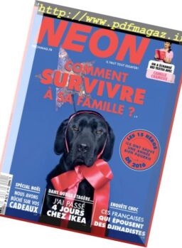 Neon France – Decembre 2016