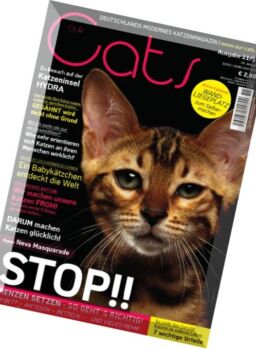 Our Cats – Nr.11, 2015