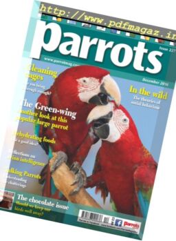 Parrots – December 2016