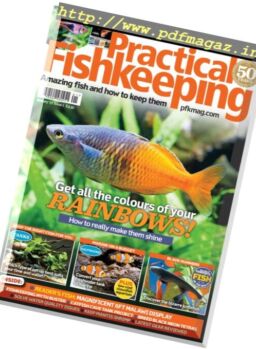 Practical Fishkeeping – January 2017