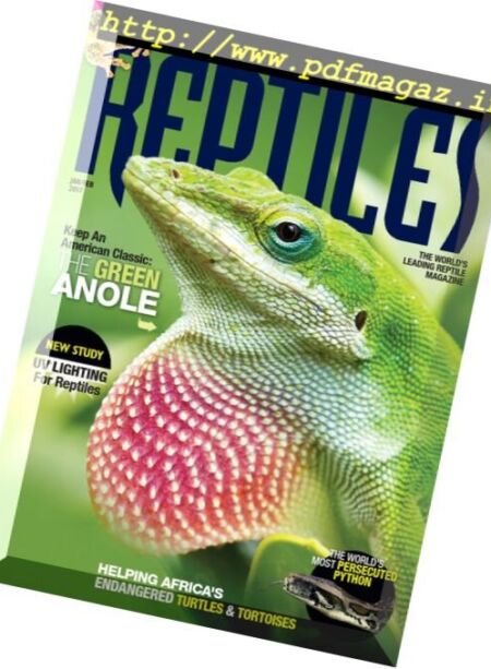 Reptiles – January-February 2017 Cover