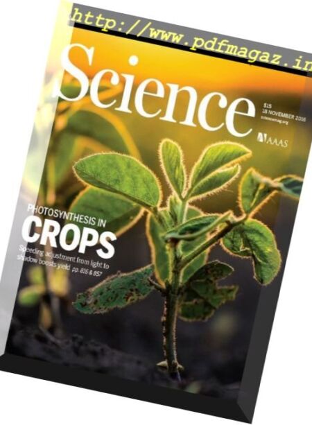 Science – 18 November 2016 Cover