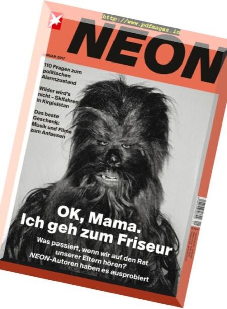 Stern Neon – Januar 2017 Cover