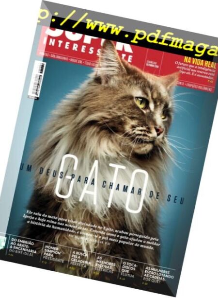 Superinteressante Brazil – Issue 369, Dezembro 2016 Cover