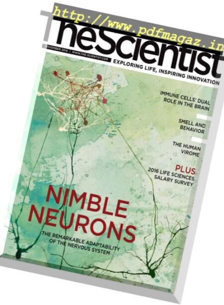 The Scientist – November 2016 Cover