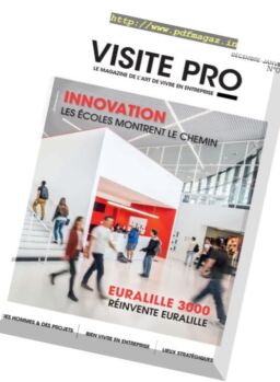 Visite Pro – Decembre 2016 – Janvier 2017