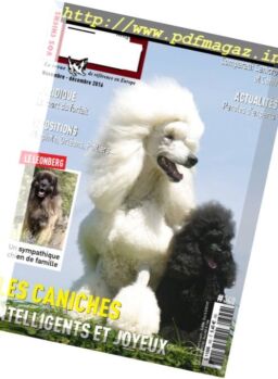Vos chiens – Novembre-Decembre 2016