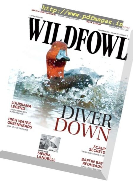 Wildfowl – November 2016 Cover