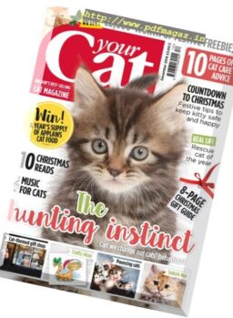 Your Cat – December 2016