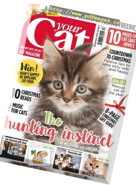 Your Cat – December 2016 Cover