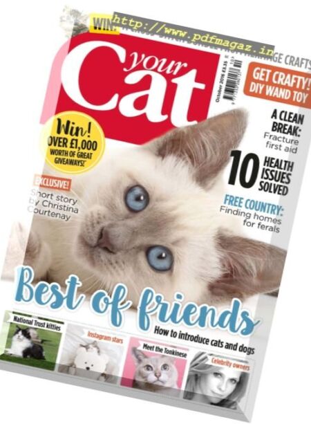 Your Cat – October 2016 Cover