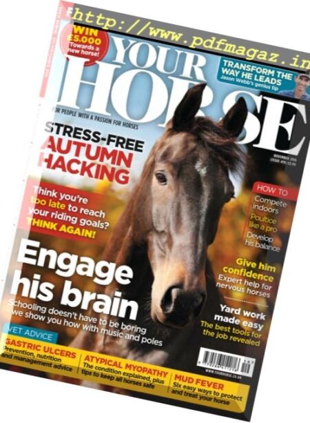 Your Horse – November 2016 Cover