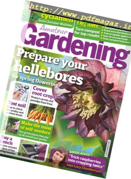 Amateur Gardening – 3 December 2016 Cover