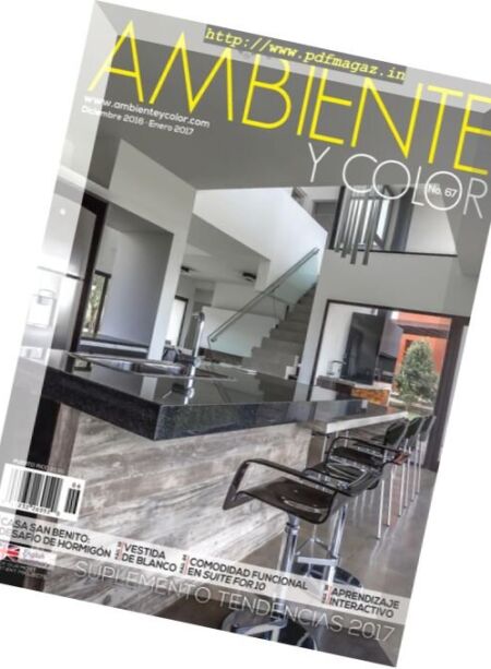 Ambiente y Color – Diciembre 2016 – Enero 2017 Cover