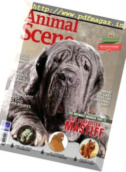 Animal Scene – December 2016