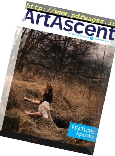 ArtAscent – December 2016 Cover