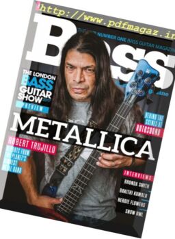 Bass Guitar – February 2017