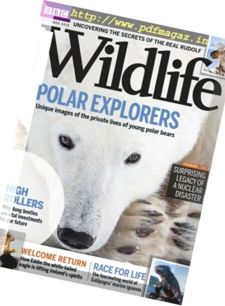BBC Wildlife – December 2016 Cover