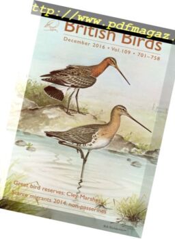 British Birds – December 2016