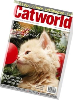 Cat World – December 2016