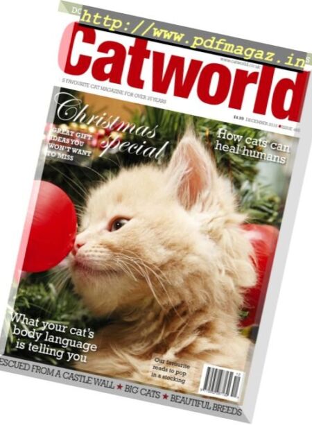 Cat World – December 2016 Cover
